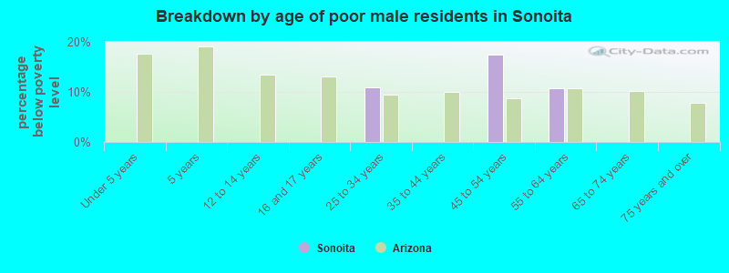 Breakdown by age of poor male residents in Sonoita