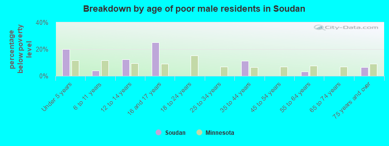 Breakdown by age of poor male residents in Soudan