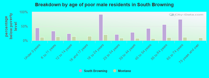 Breakdown by age of poor male residents in South Browning
