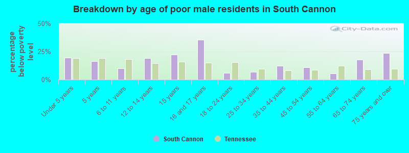 Breakdown by age of poor male residents in South Cannon