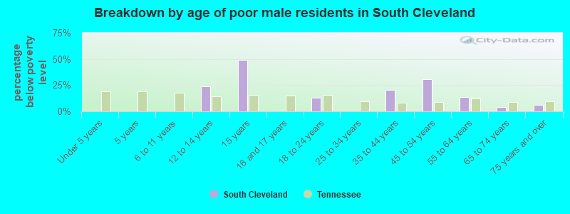 Breakdown by age of poor male residents in South Cleveland