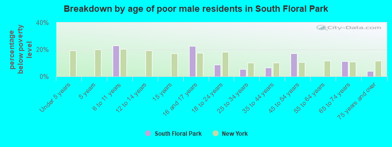 Breakdown by age of poor male residents in South Floral Park