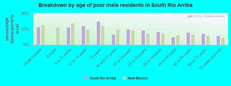 Breakdown by age of poor male residents in South Rio Arriba