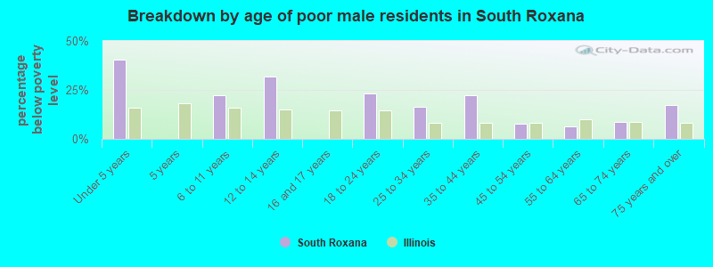 Breakdown by age of poor male residents in South Roxana