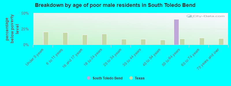 Breakdown by age of poor male residents in South Toledo Bend