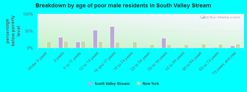 Breakdown by age of poor male residents in South Valley Stream