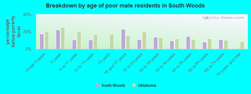 Breakdown by age of poor male residents in South Woods