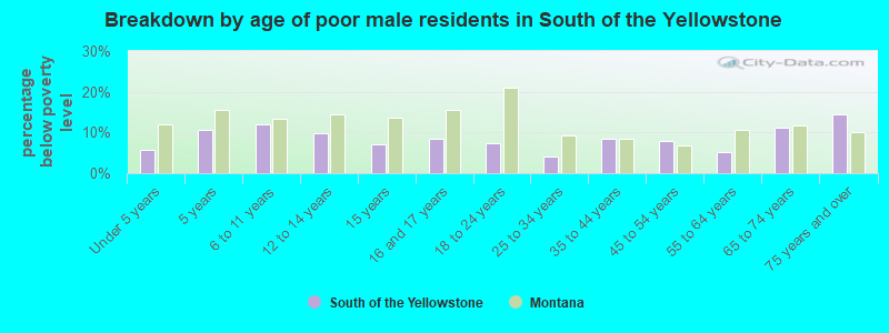 Breakdown by age of poor male residents in South of the Yellowstone