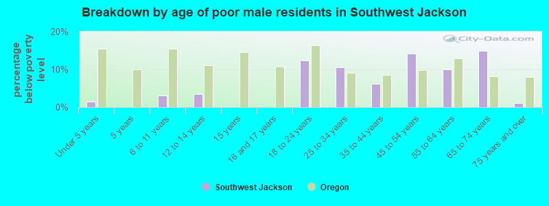 Breakdown by age of poor male residents in Southwest Jackson
