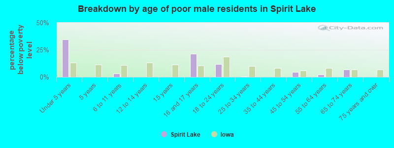 Breakdown by age of poor male residents in Spirit Lake