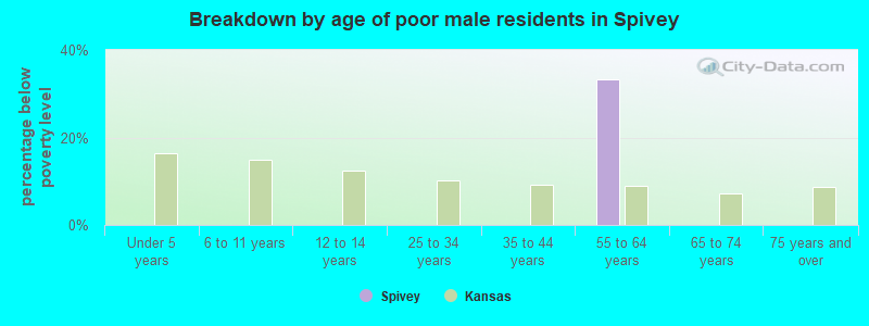 Breakdown by age of poor male residents in Spivey