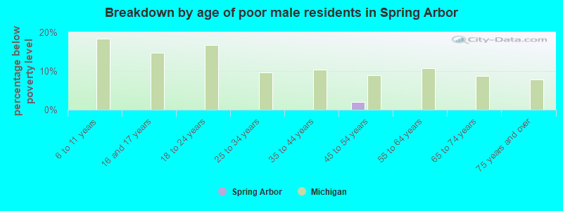 Breakdown by age of poor male residents in Spring Arbor