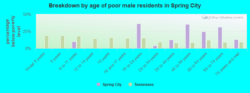 Breakdown by age of poor male residents in Spring City