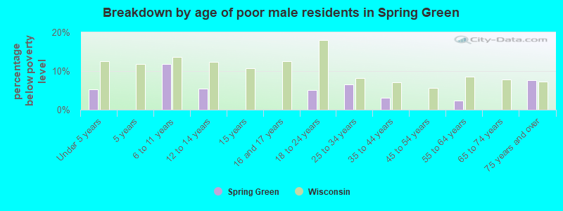 Breakdown by age of poor male residents in Spring Green