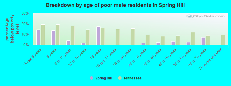 Breakdown by age of poor male residents in Spring Hill