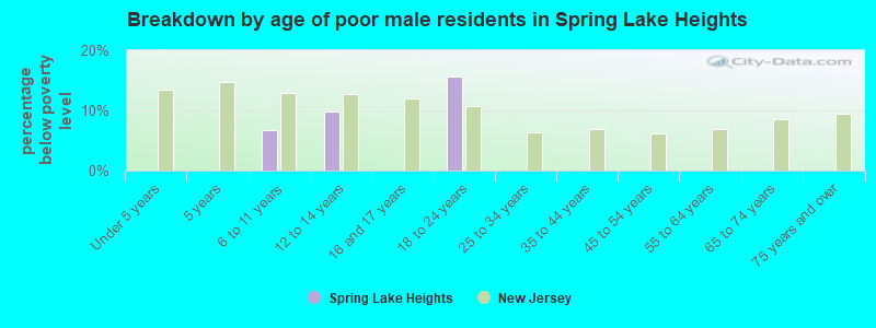 Breakdown by age of poor male residents in Spring Lake Heights