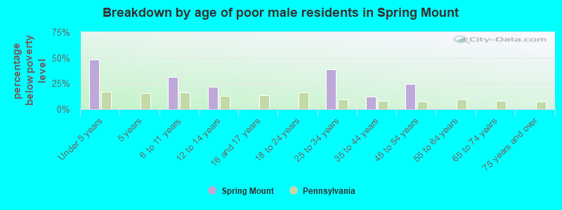 Breakdown by age of poor male residents in Spring Mount