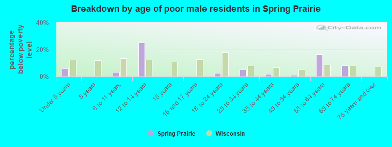 Breakdown by age of poor male residents in Spring Prairie
