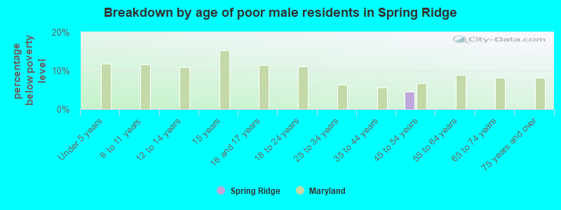 Breakdown by age of poor male residents in Spring Ridge