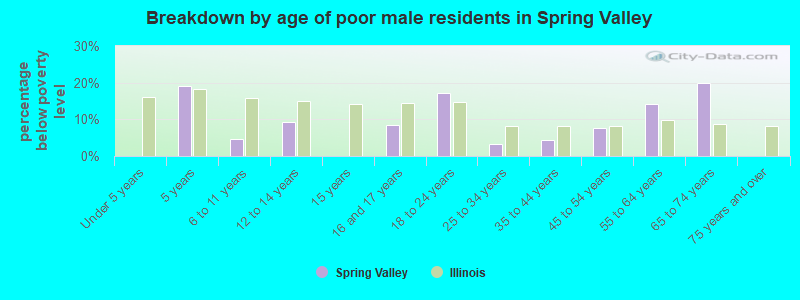 Breakdown by age of poor male residents in Spring Valley