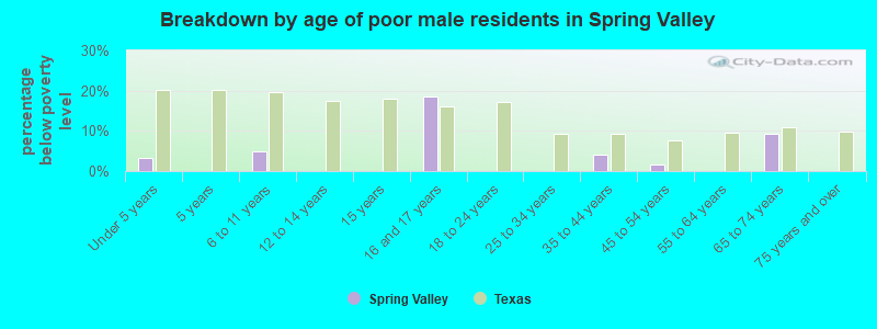 Breakdown by age of poor male residents in Spring Valley