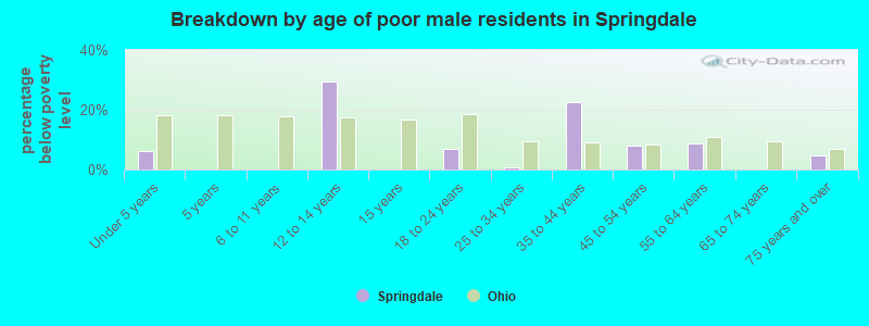 Breakdown by age of poor male residents in Springdale
