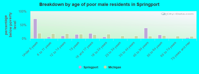 Breakdown by age of poor male residents in Springport