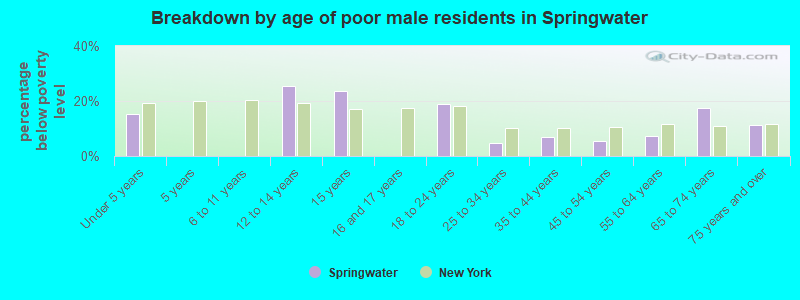 Breakdown by age of poor male residents in Springwater