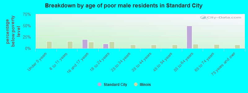 Breakdown by age of poor male residents in Standard City
