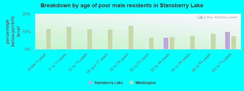Breakdown by age of poor male residents in Stansberry Lake