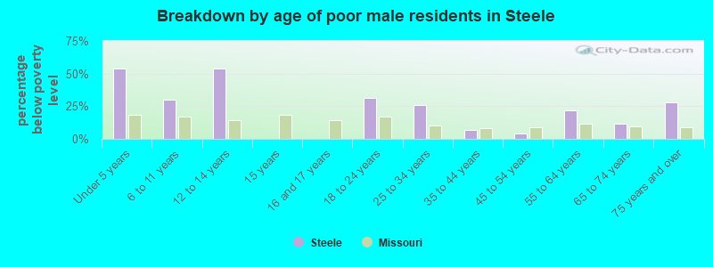 Breakdown by age of poor male residents in Steele
