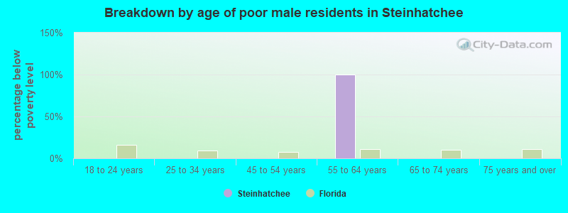 Breakdown by age of poor male residents in Steinhatchee