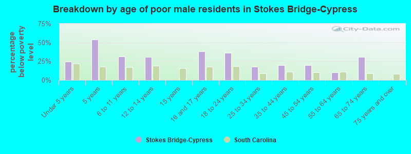 Breakdown by age of poor male residents in Stokes Bridge-Cypress