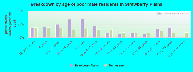 Breakdown by age of poor male residents in Strawberry Plains