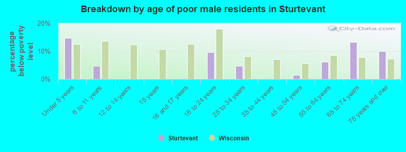 Breakdown by age of poor male residents in Sturtevant