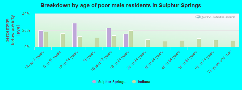 Breakdown by age of poor male residents in Sulphur Springs