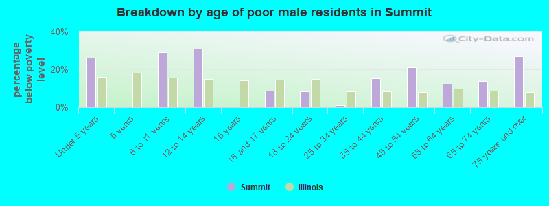 Breakdown by age of poor male residents in Summit