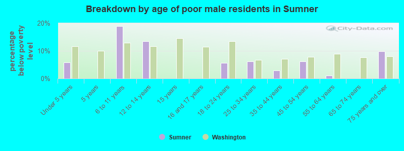 Breakdown by age of poor male residents in Sumner