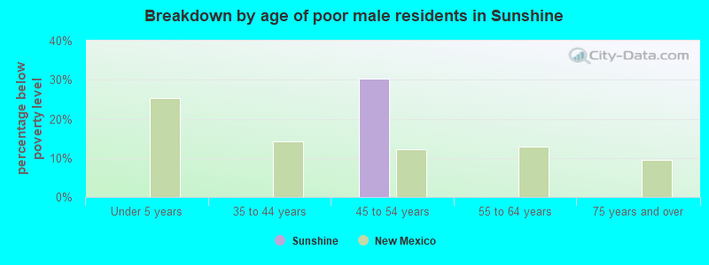 Breakdown by age of poor male residents in Sunshine