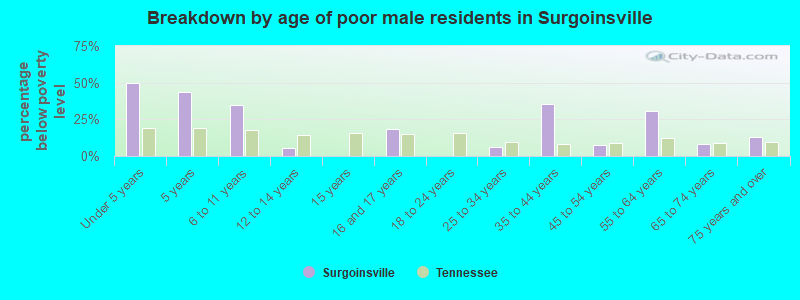 Breakdown by age of poor male residents in Surgoinsville