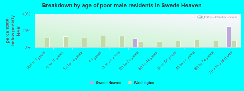 Breakdown by age of poor male residents in Swede Heaven