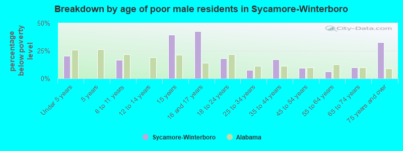 Breakdown by age of poor male residents in Sycamore-Winterboro