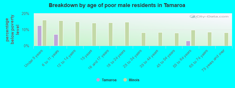 Breakdown by age of poor male residents in Tamaroa