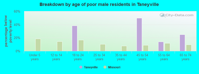 Breakdown by age of poor male residents in Taneyville