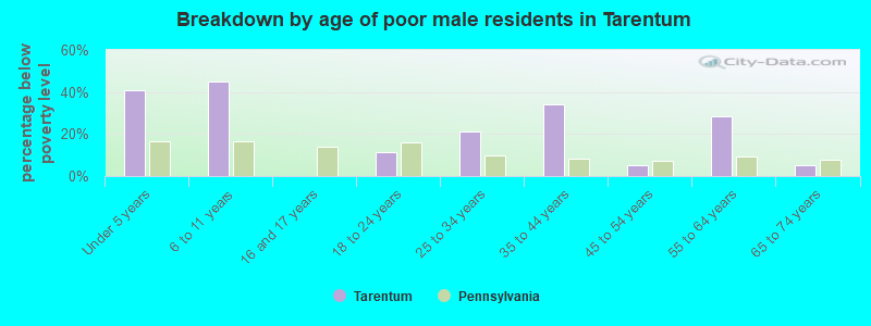 Breakdown by age of poor male residents in Tarentum