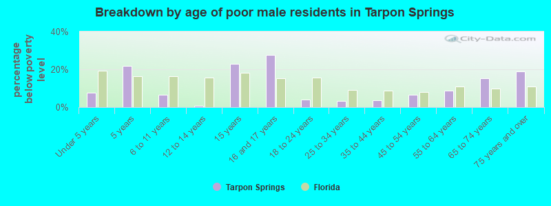 Breakdown by age of poor male residents in Tarpon Springs
