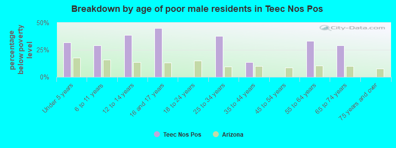 Breakdown by age of poor male residents in Teec Nos Pos