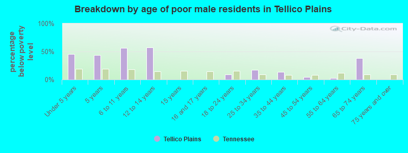 Breakdown by age of poor male residents in Tellico Plains