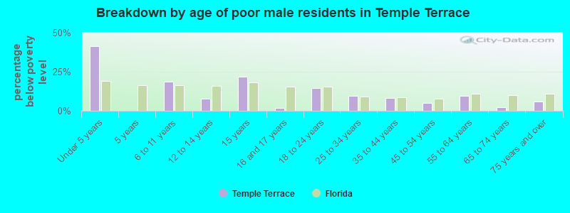 Breakdown by age of poor male residents in Temple Terrace