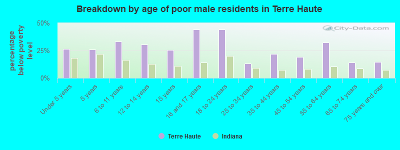 Breakdown by age of poor male residents in Terre Haute